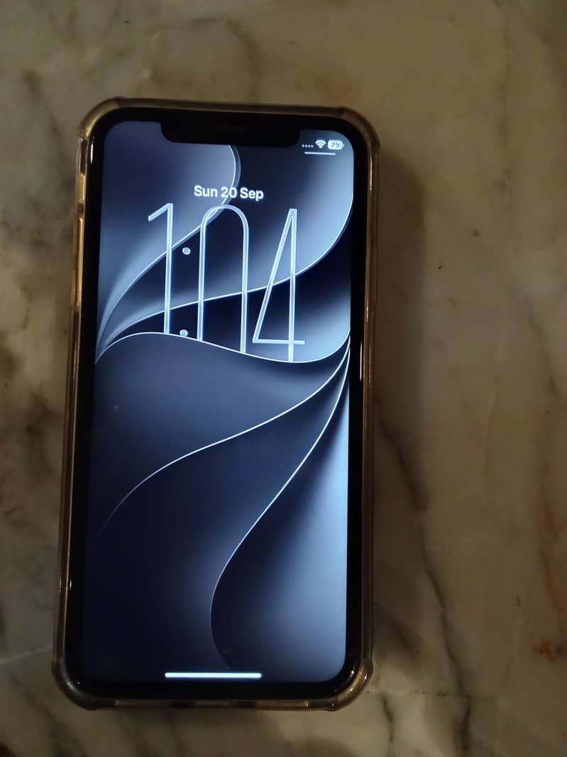 Apple iPhone 11 0