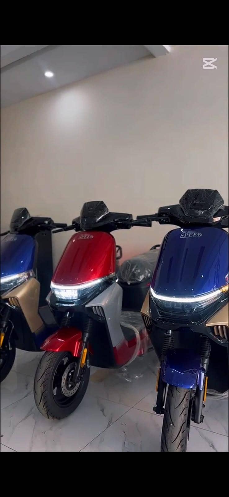 Electric Scotees 8