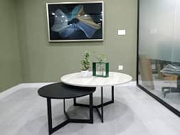 Coffee Table/Center Table/Sofa Side Table 10