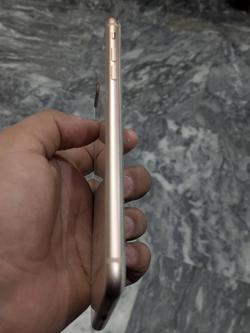 Apple iPhone 8 Plus 1