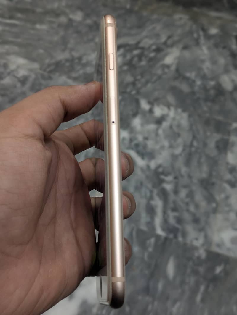 Apple iPhone 8 Plus 3
