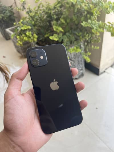 Apple iPhone 12