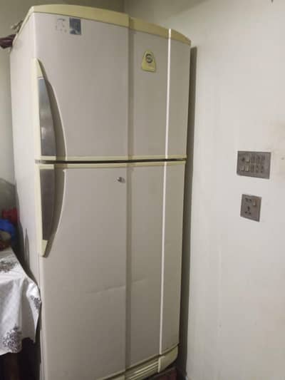 Fridge