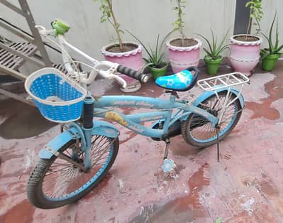 cycle