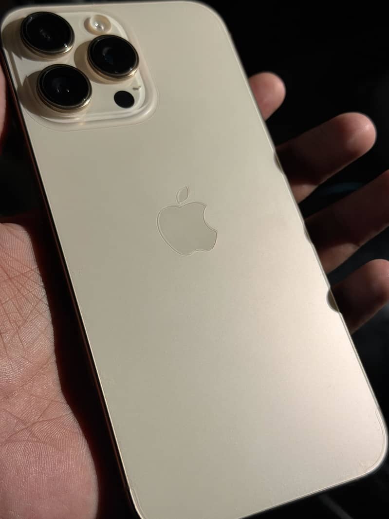 Apple iPhone 16 Pro Max 2