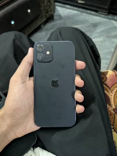 Apple iPhone 12