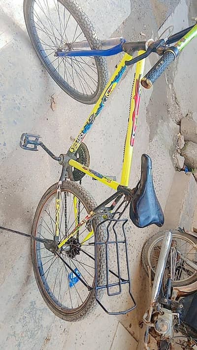 Phoenix Bicycle for sale