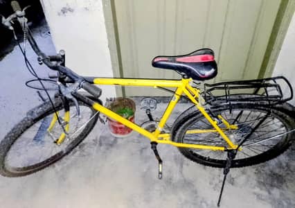 Phoenix wheelie cycle condition 10/10 For sale