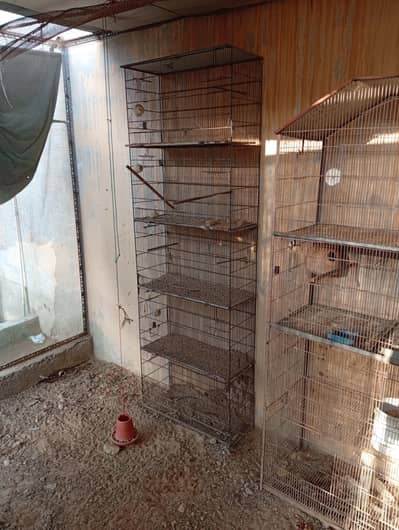 Parrot cages for sale