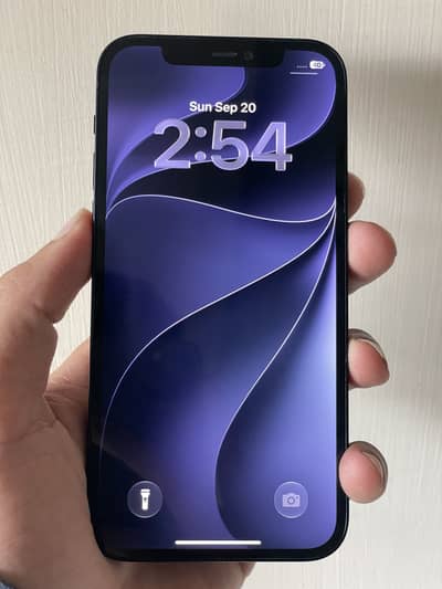 Apple iPhone 12