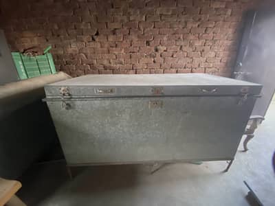 6 foot Paiti for sale