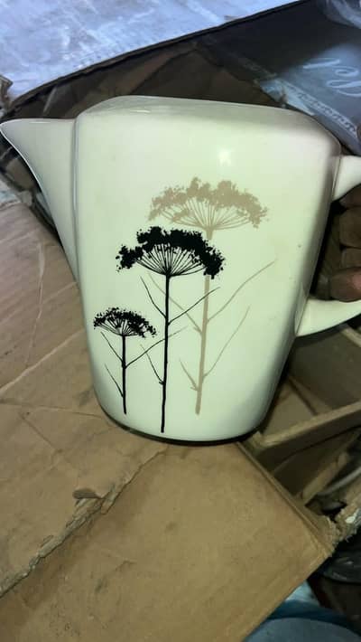Fine bone china dinner set