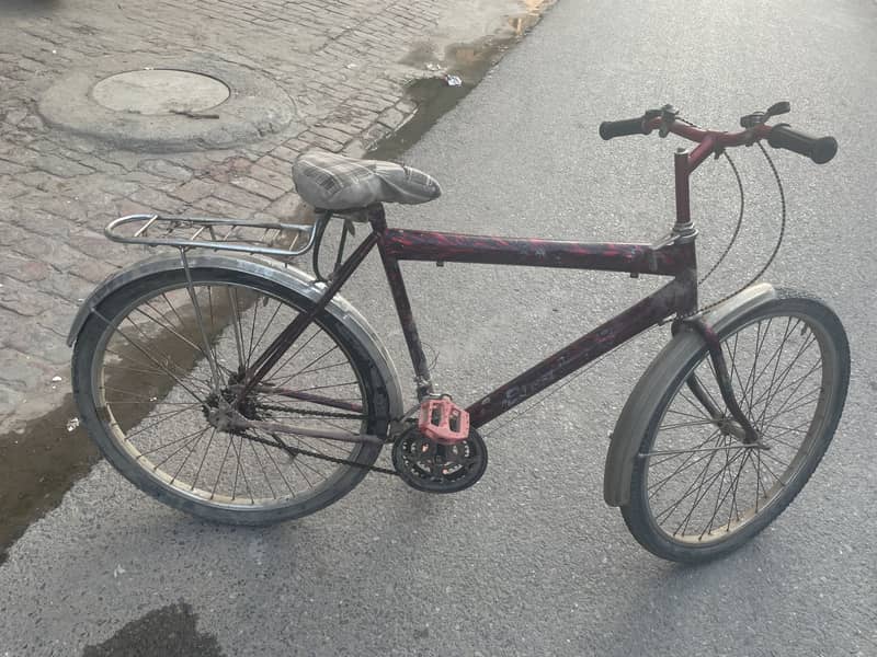 Cycle 4