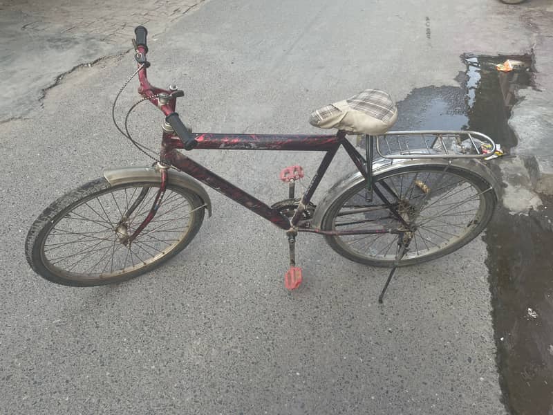Cycle 5