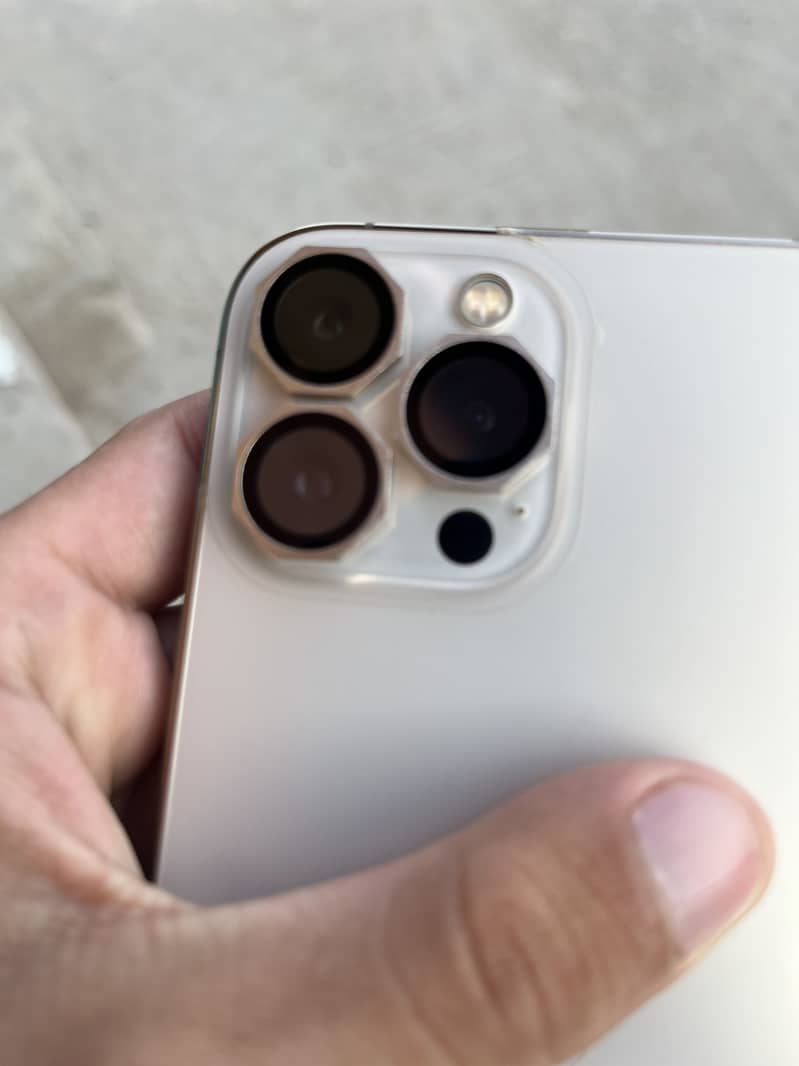 Apple iPhone 13 Pro Max 2