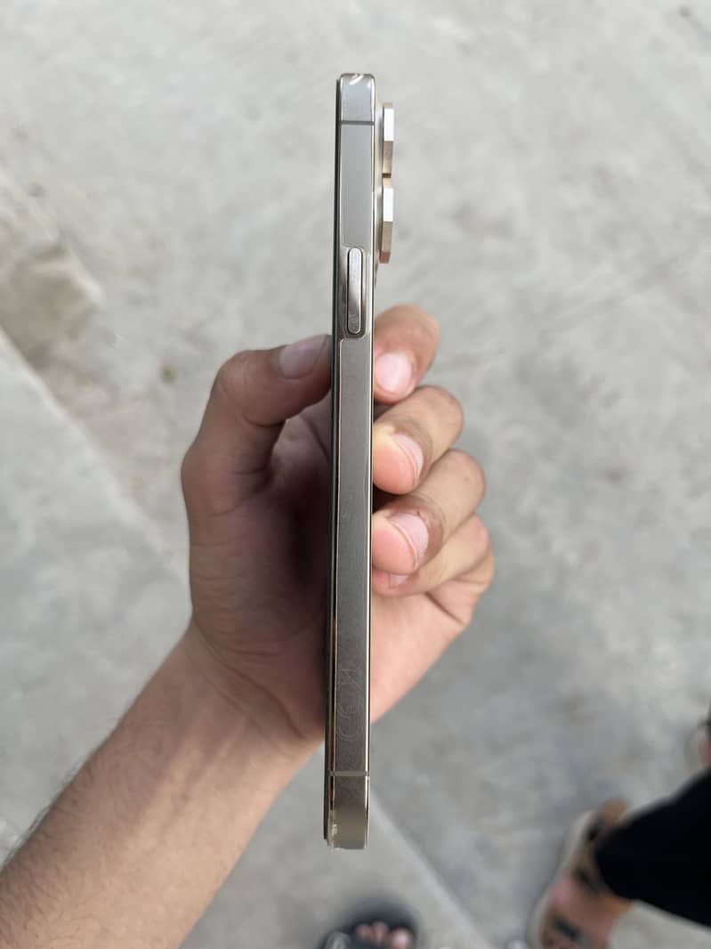 Apple iPhone 13 Pro Max 3