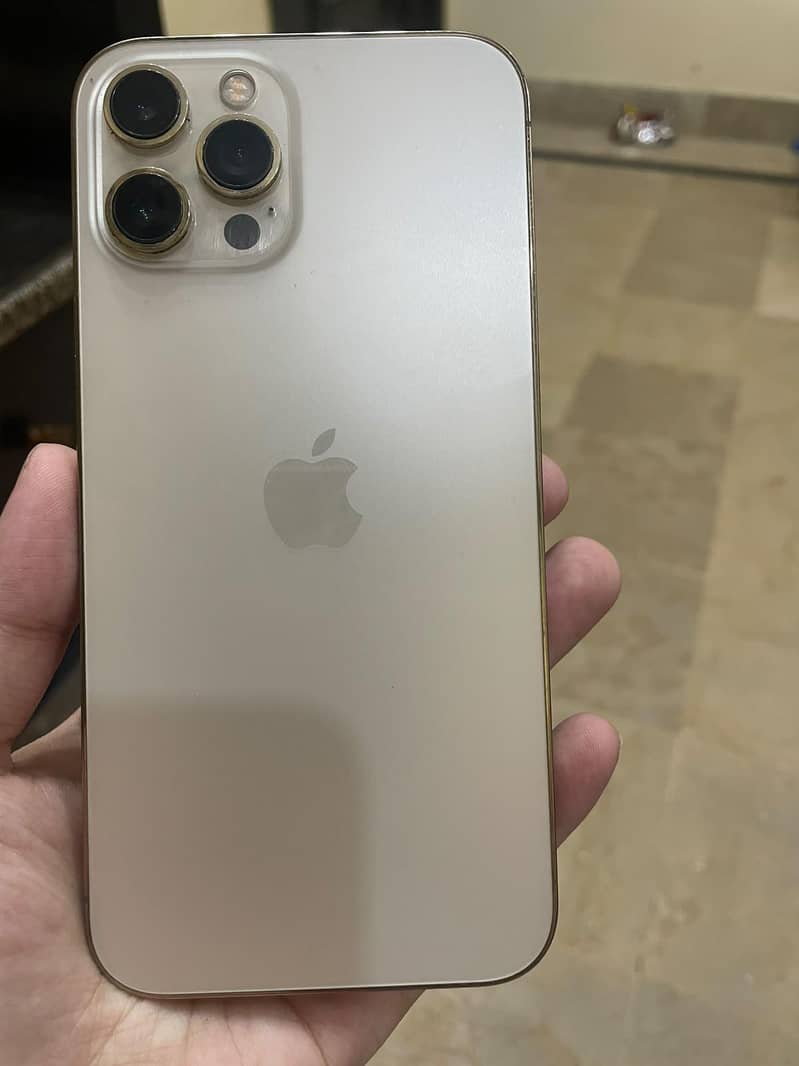 Apple iPhone 12 Pro Max 1