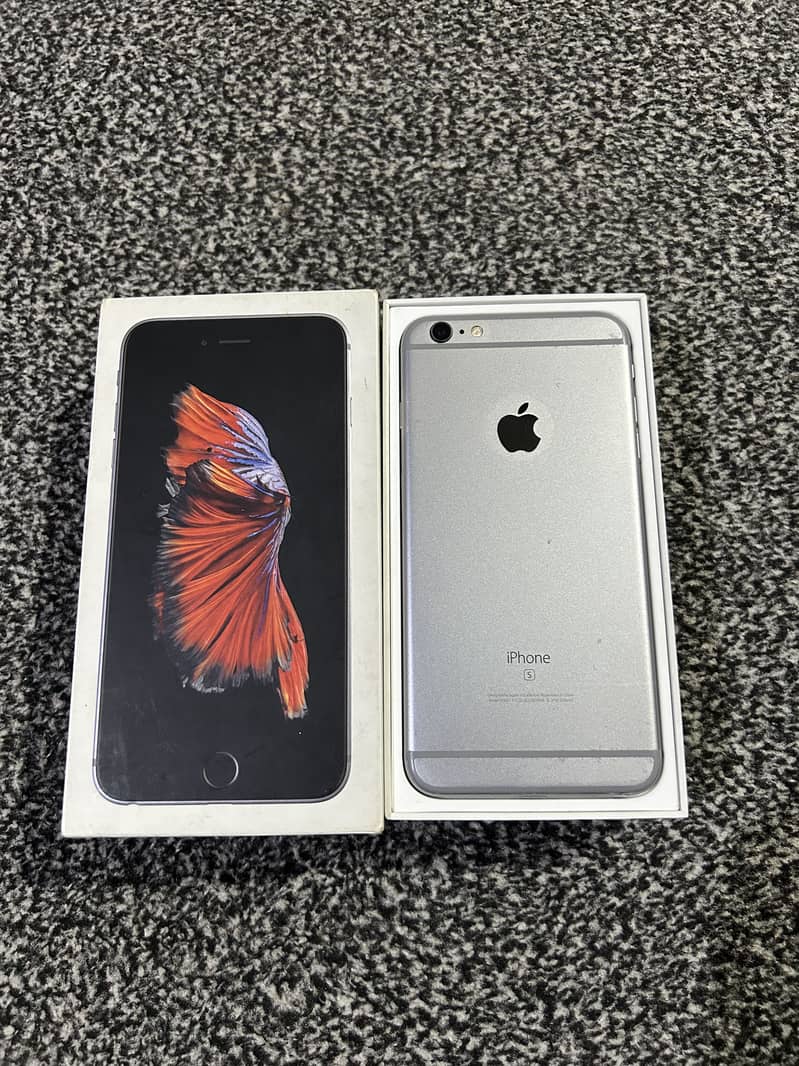 iPhone 6S Plus 1