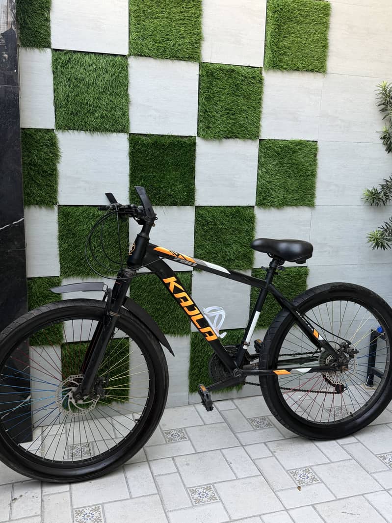 bicycle 0