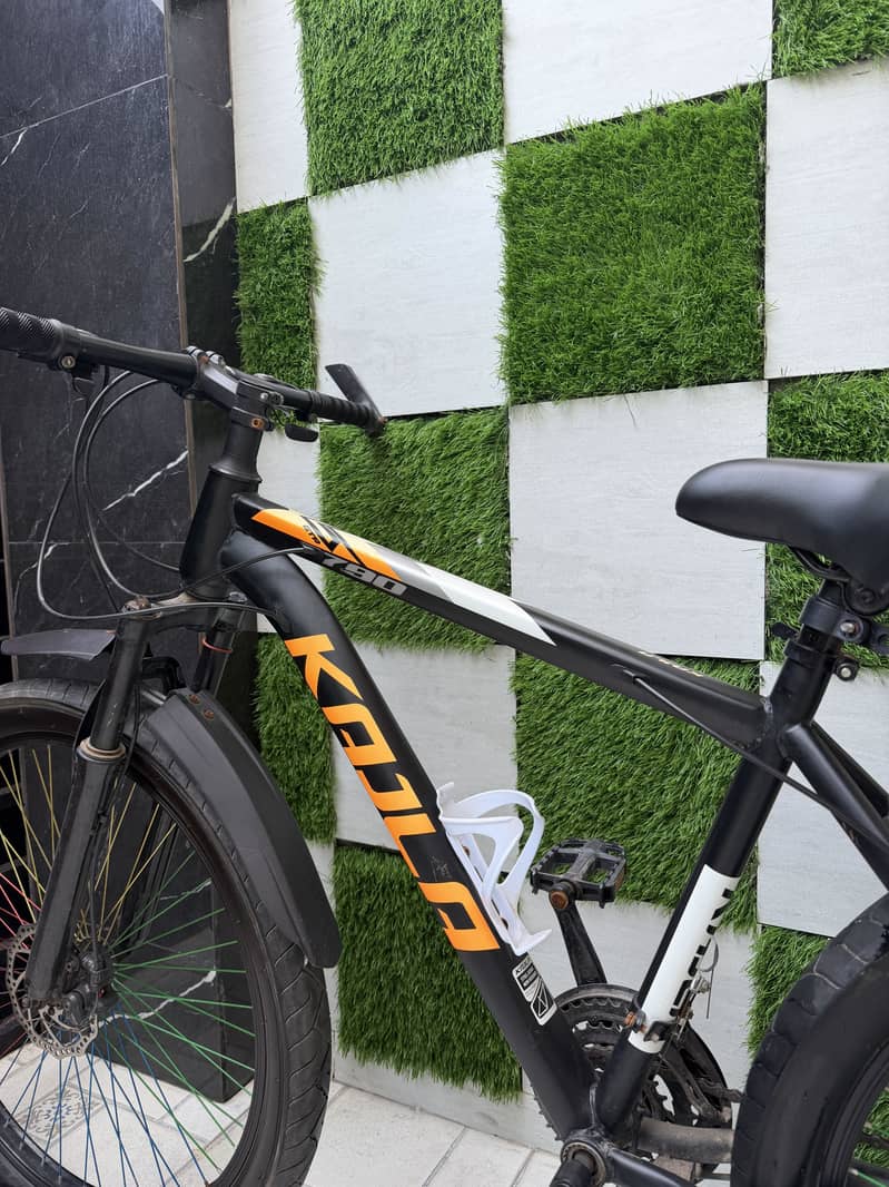 bicycle 1