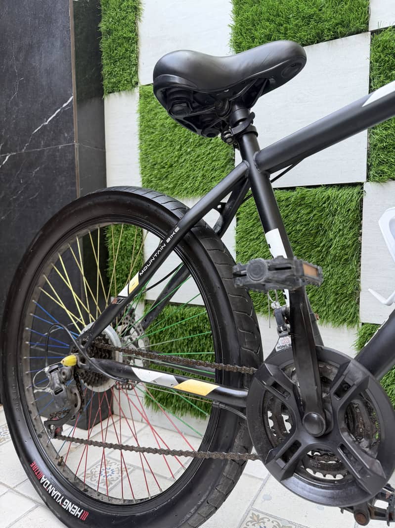 bicycle 2