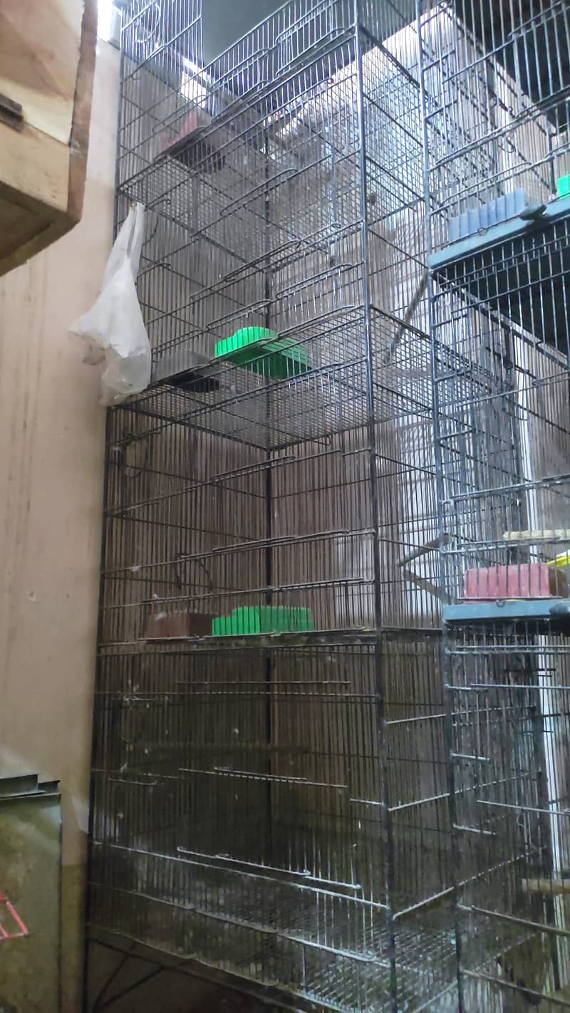 / Cages / boxes 0