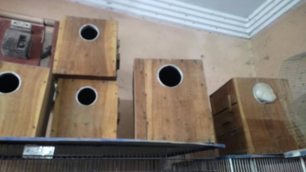 / Cages / boxes 2