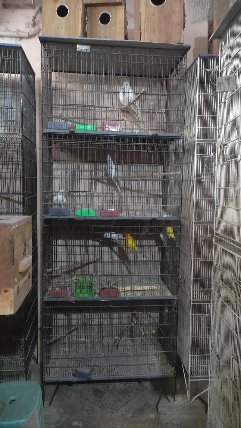 / Cages / boxes 3
