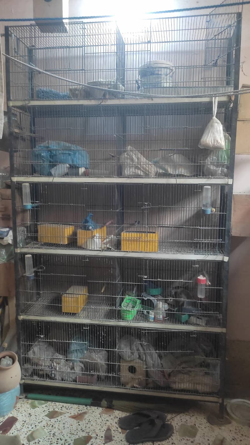 / Cages / boxes 4