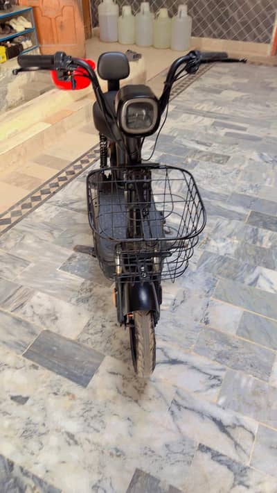 ever flipper scooter