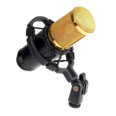 BM800 Microphone