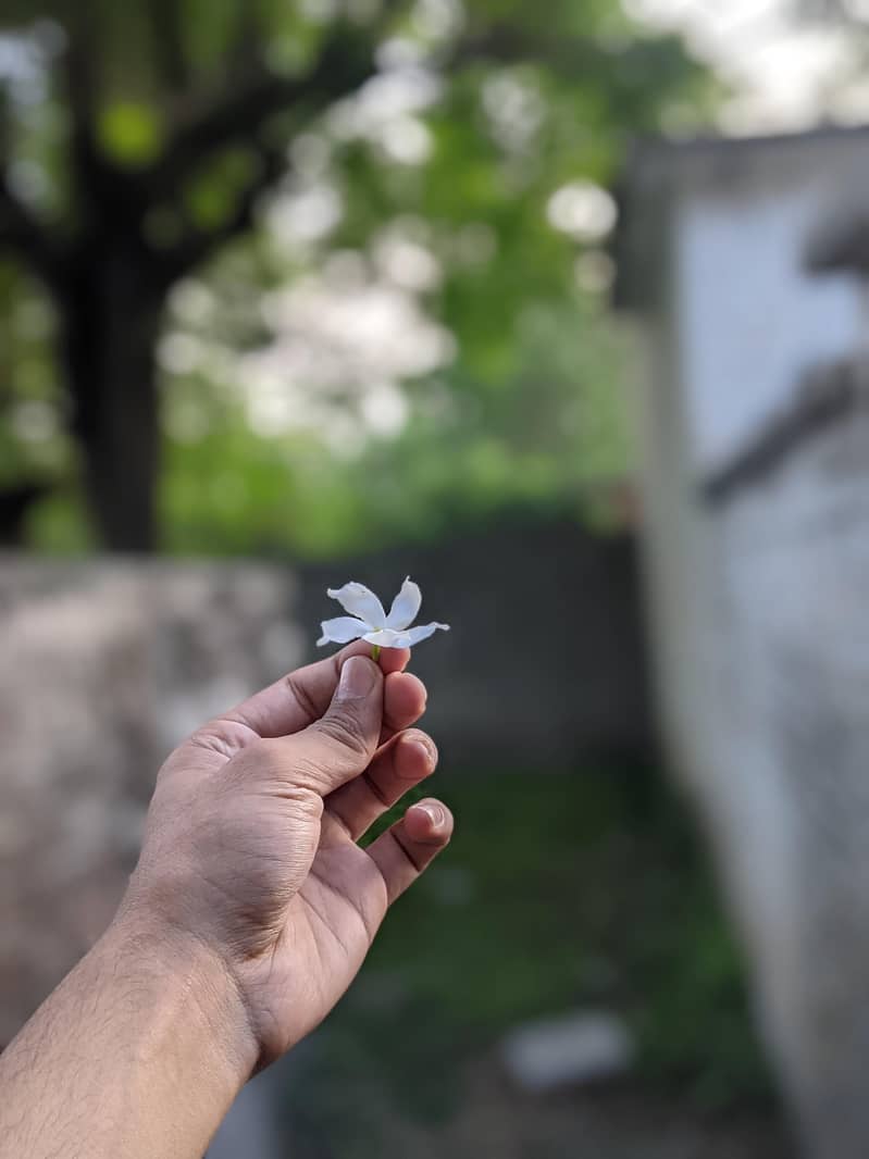 Google Pixel 4 3