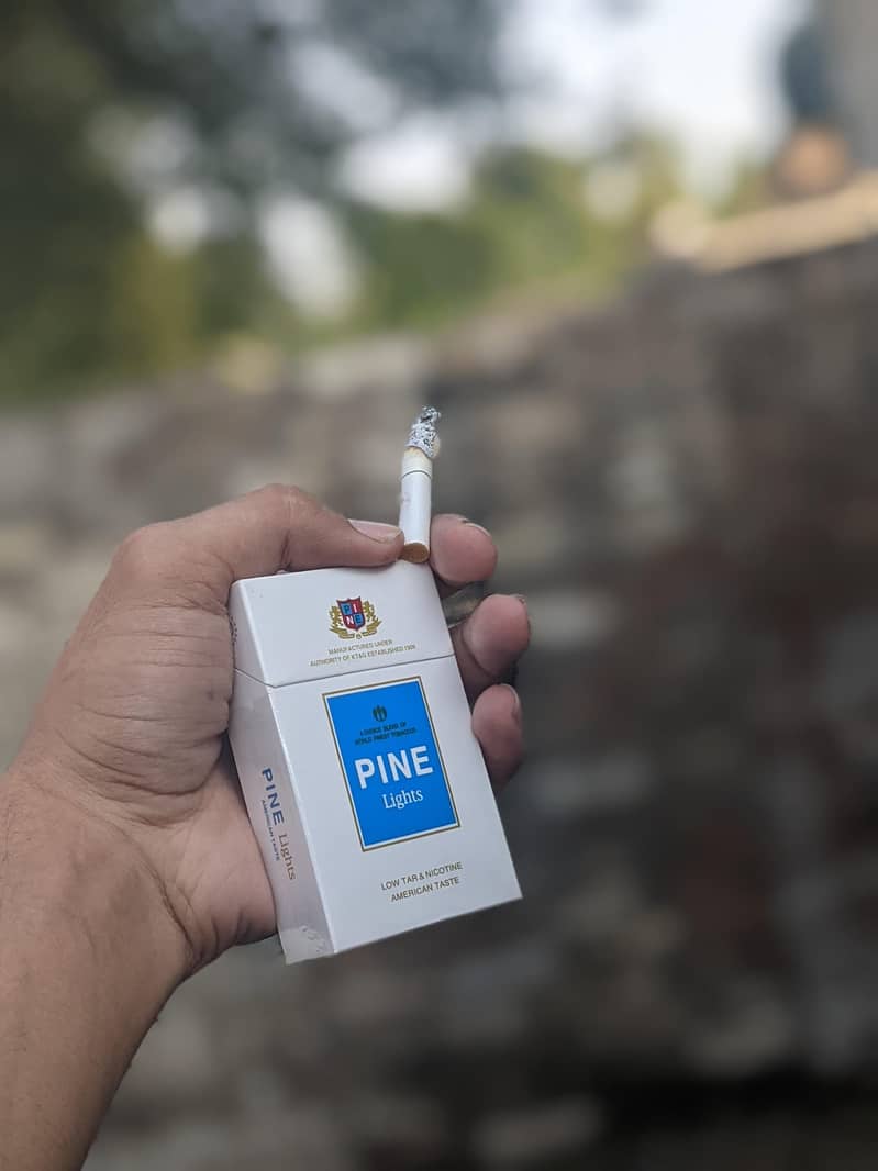 Google Pixel 4 6