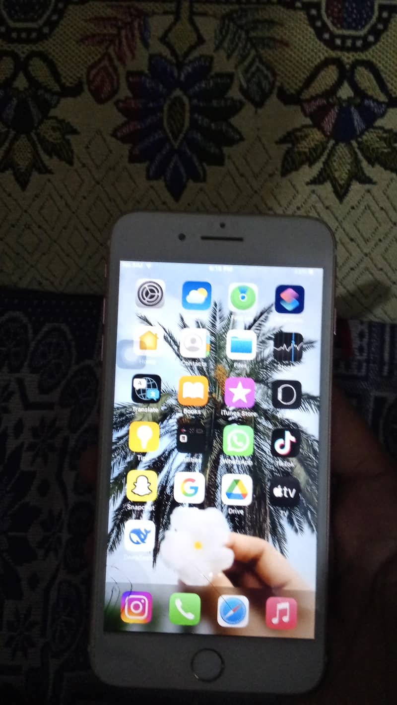 Apple iPhone 7 Plus 3