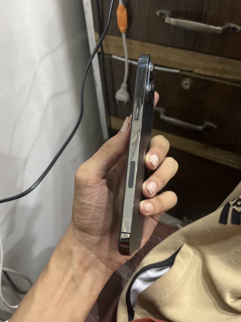 Apple iPhone 13 Pro Max 1
