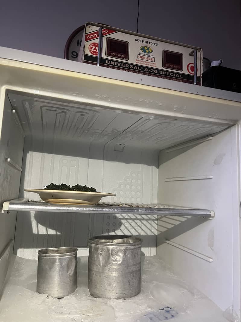 Fridge 2