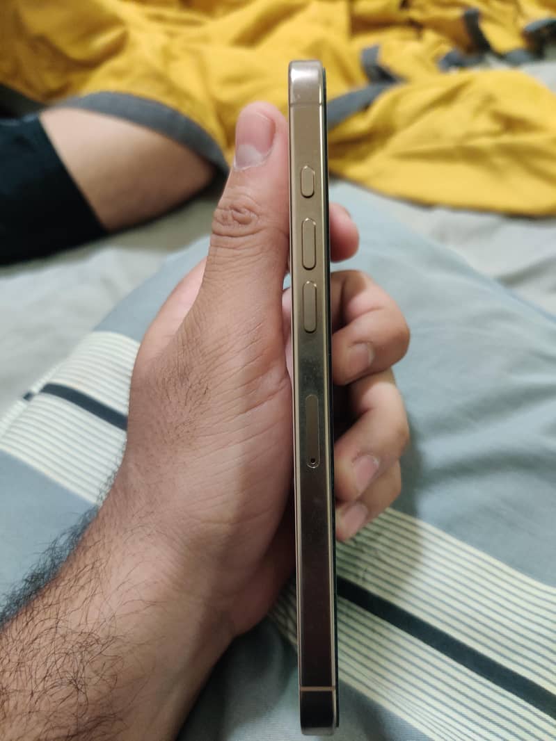 Apple iPhone 16 Pro Max 2