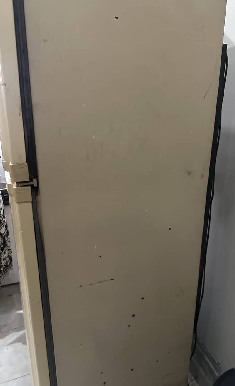 Pel fridge 1