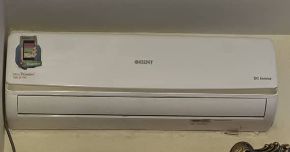Orient Spit 1.5 Ton