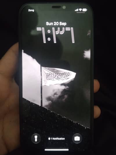 Apple iPhone 12