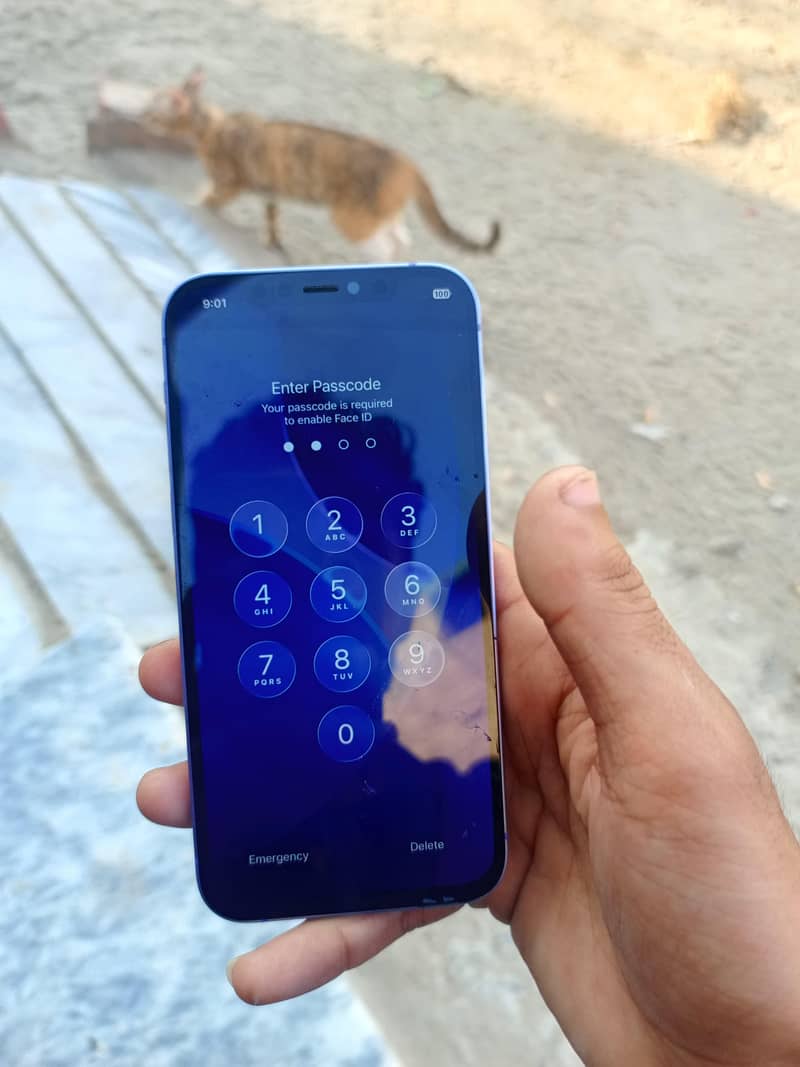 Apple iPhone 12 8
