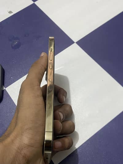 Apple iPhone 12 Pro Max