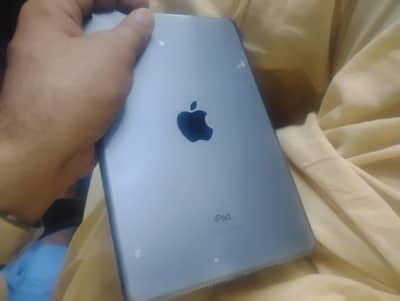 ipad mini 5 64GB PUBG KiNG