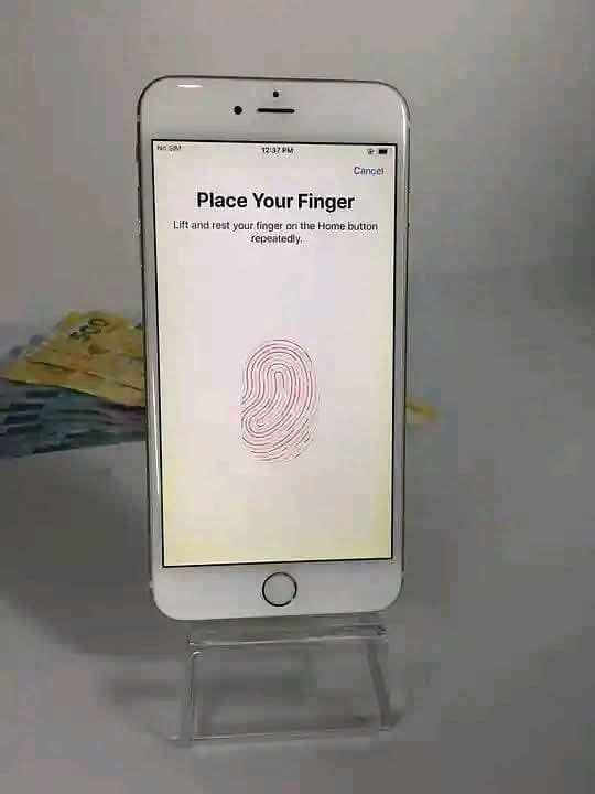 Apple iPhone 6S Plus 2