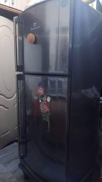 refrigerator and freezer