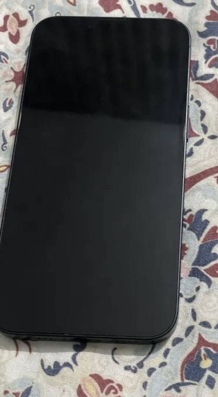 Apple iPhone 13 1