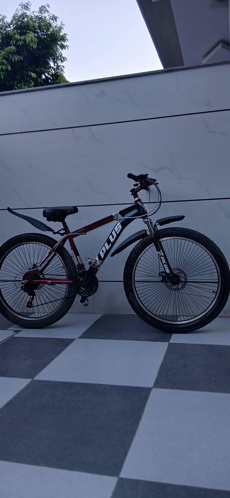 Plus cycle 1