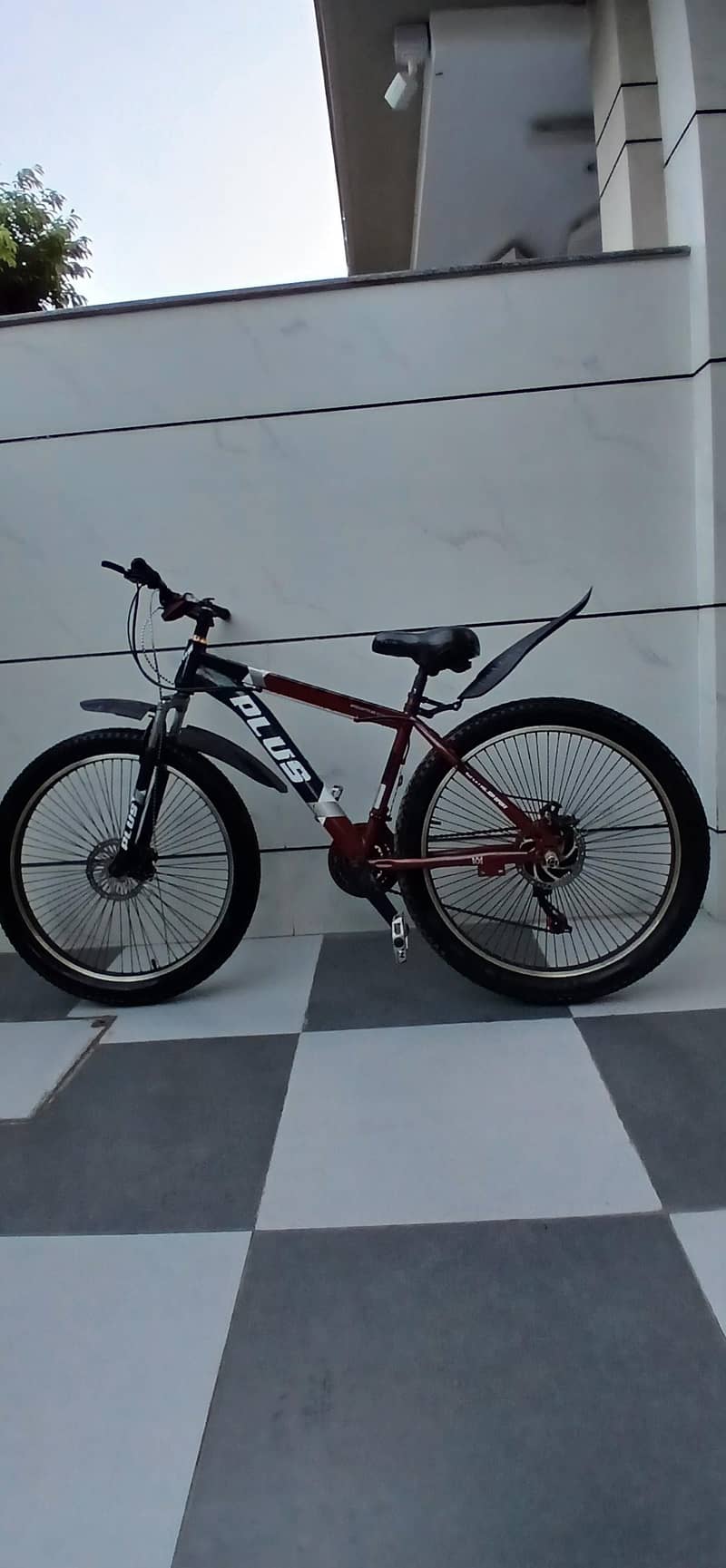 Plus cycle 2