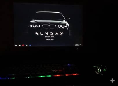 Full gaming setup
