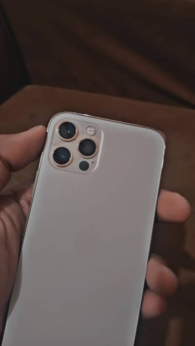 Apple iPhone 12 Pro